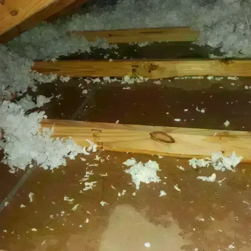 Attic Water Damage in Lowry Crossing, TX